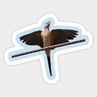 Swallow Bird Singing With Wıngs Outstretched Cut Out Sticker